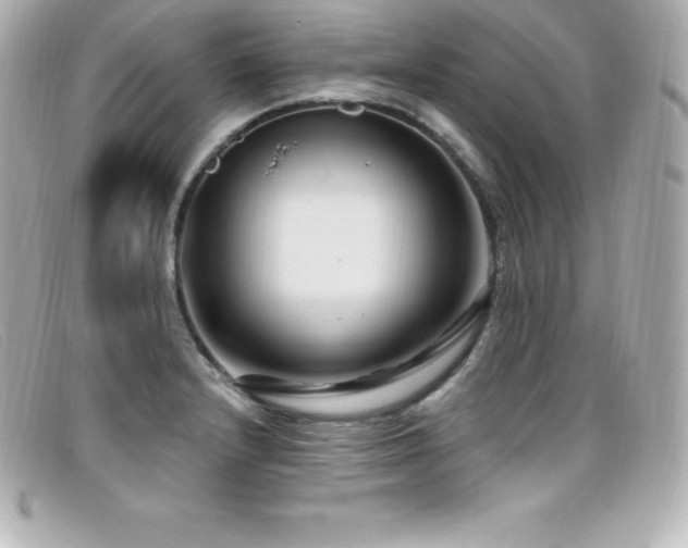 X0000099481232200805091601
