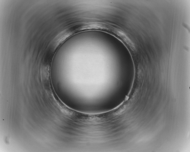 X0000099481233200805091601