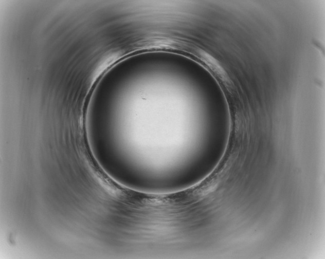 X0000099481234200805091601