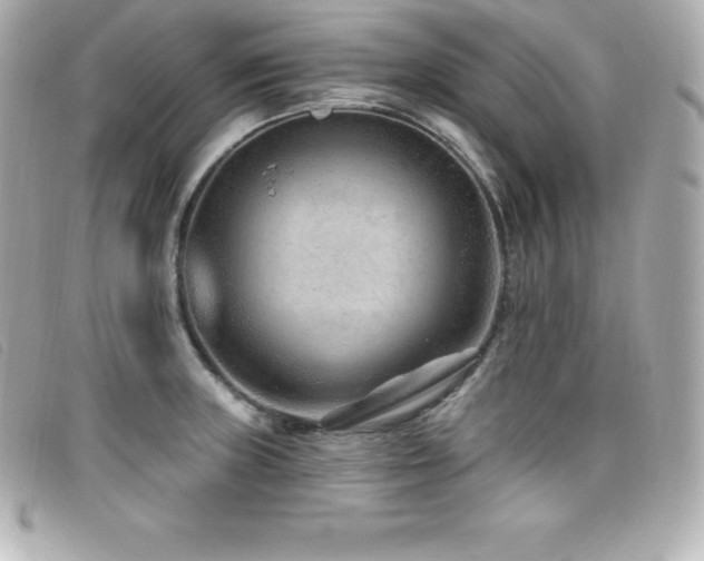X0000099481235200805091601