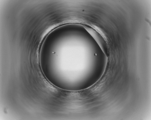 X0000099481238200805091602