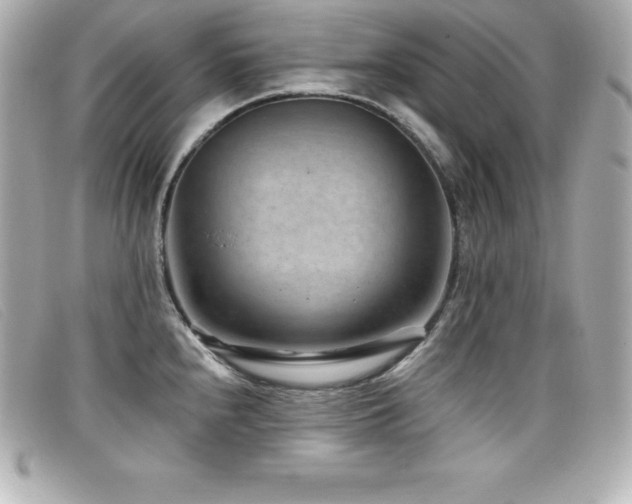 X0000099481240200805091602