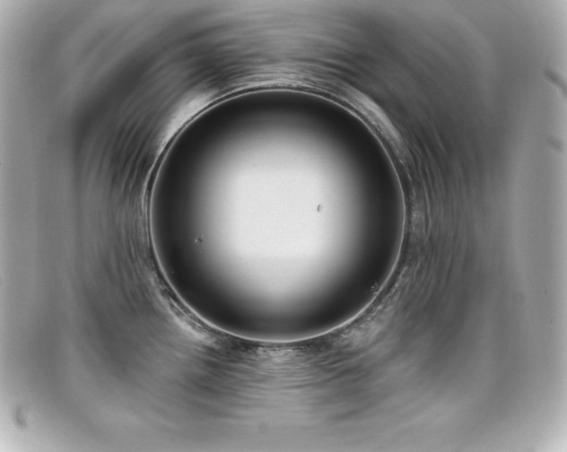 X0000099481242200805091602