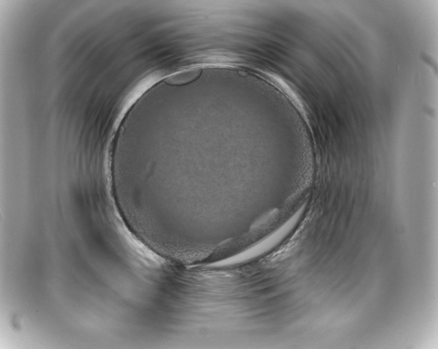 X0000099481243200805091602