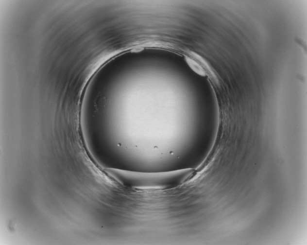 X0000099481244200805091602