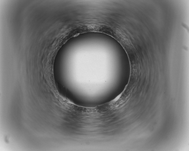 X0000099481249200805091601