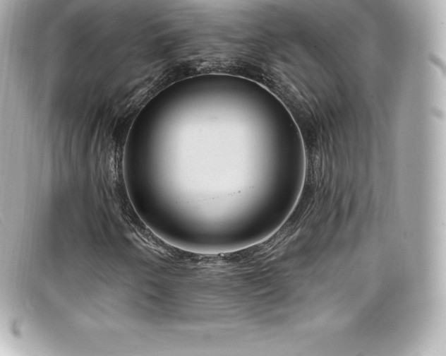 X0000099481250200805091601