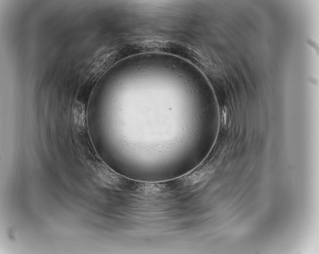 X0000099481251200805091601