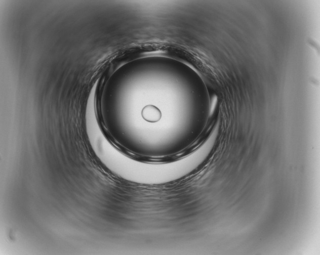 X0000099481252200805091601