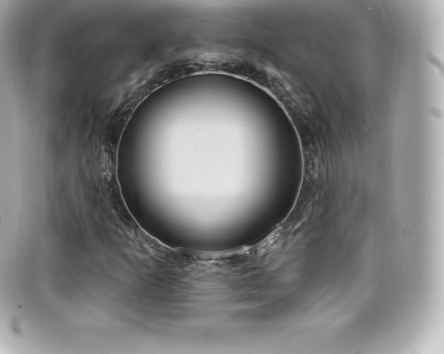 X0000099481253200805091601