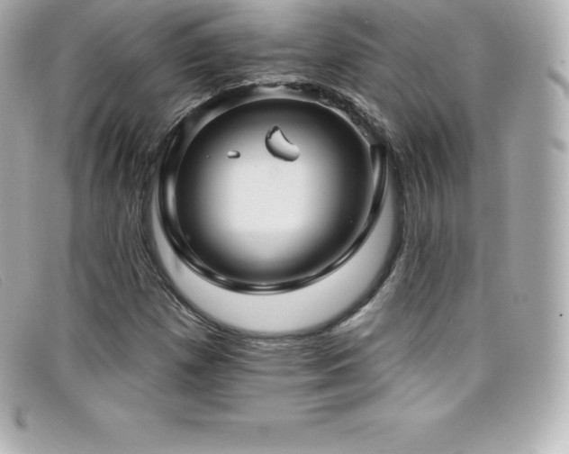 X0000099481257200805091601