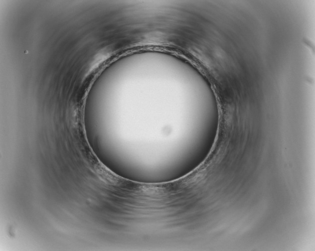 X0000099481258200805091601