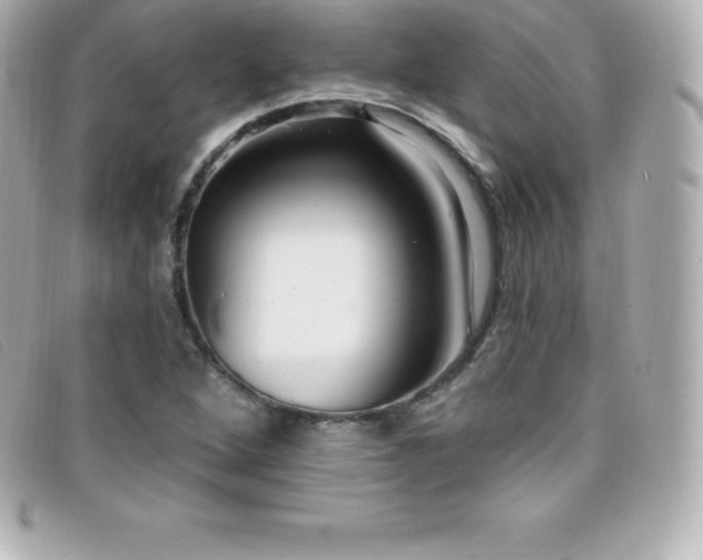 X0000099481264200805091601