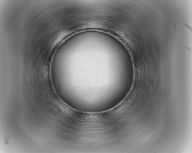 X0000099481266200805091601