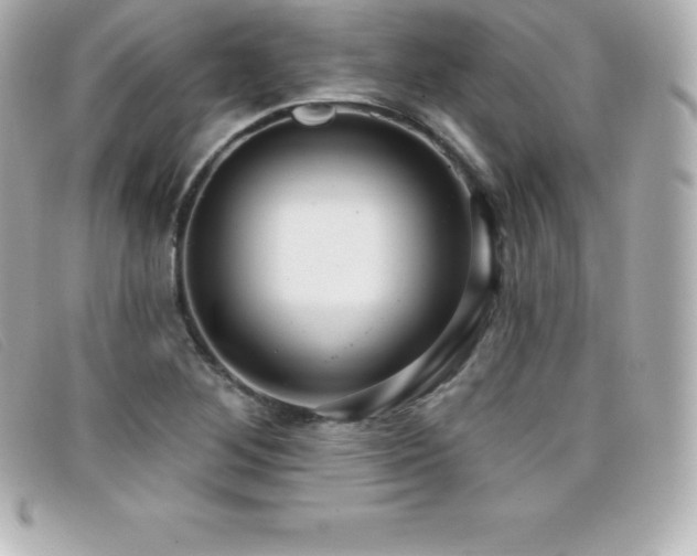 X0000099481268200805091601