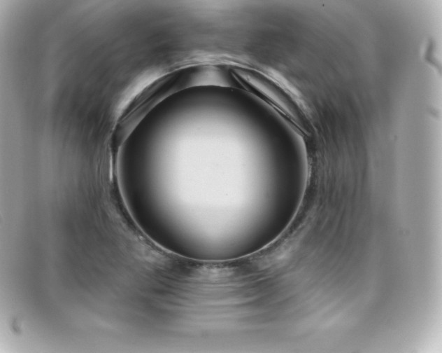 X0000099481269200805091601