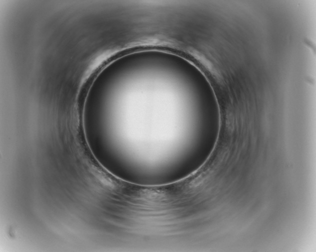 X0000099481270200805091601
