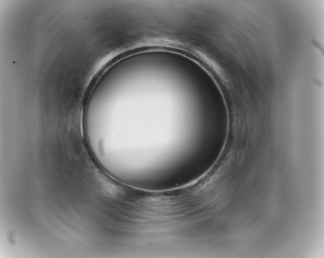 X0000099481272200805091601