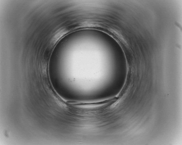 X0000099481273200805091601