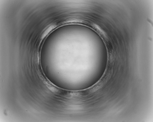 X0000099481274200805091601
