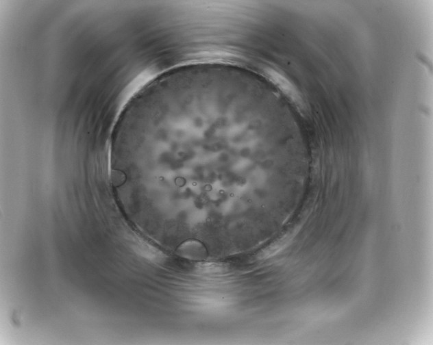 X0000099481275200805091601