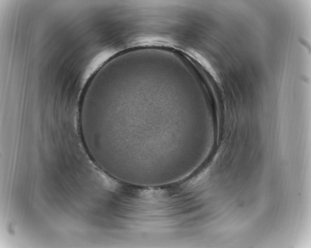 X0000099481277200805091601