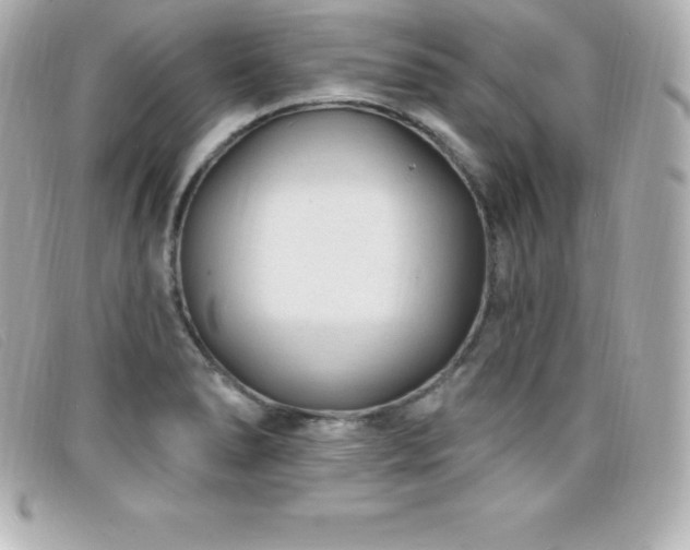 X0000099481278200805091601