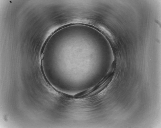 X0000099481280200805091601