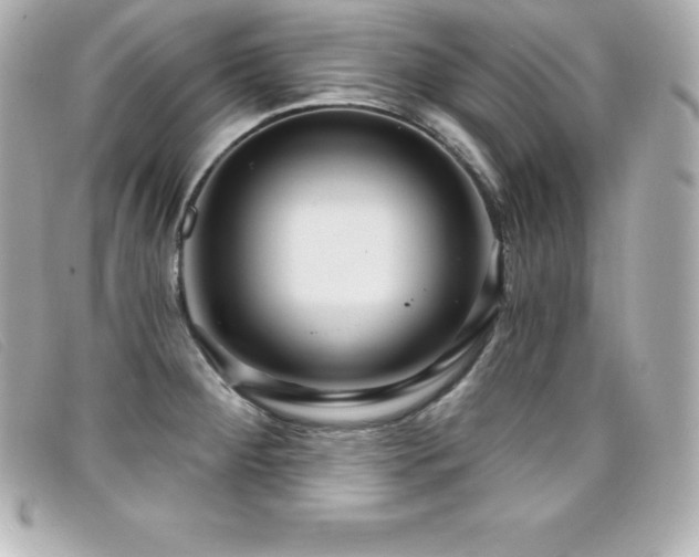 X0000099481284200805091600