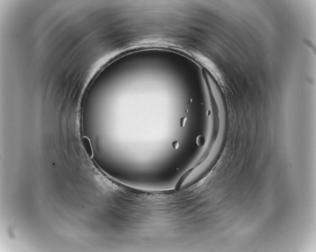 X0000099481288200805091600
