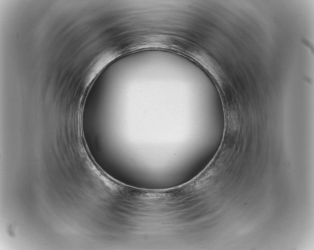 X0000099481290200805091600