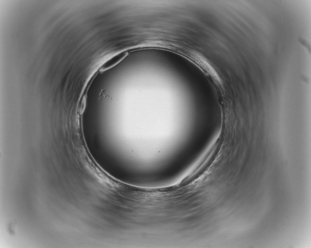 X0000099481292200805091600