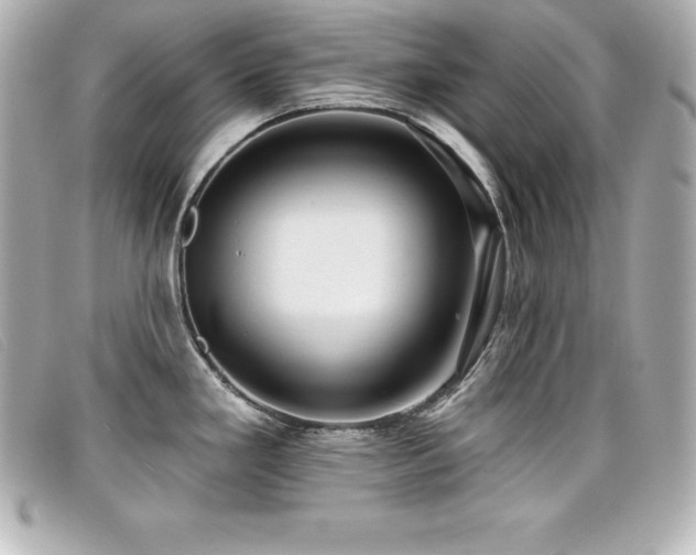 X0000099481293200805091600
