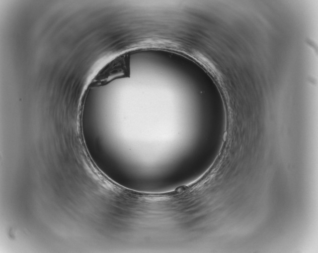 X0000099481296200805091600