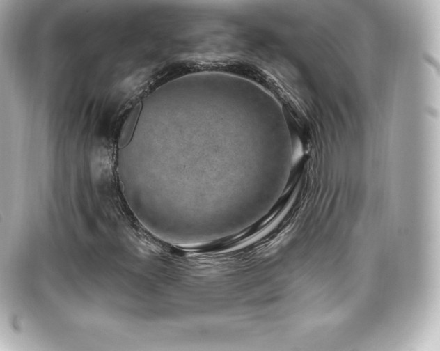 X0000099481300200805091600