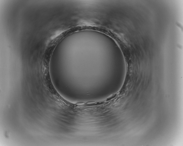 X0000099481303200805091600