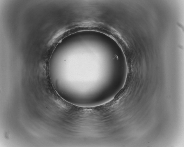 X0000099481304200805091600