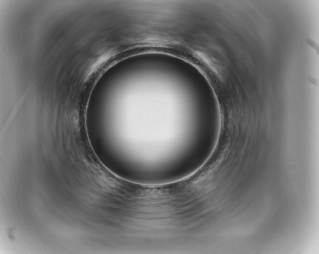 X0000099481307200805091600