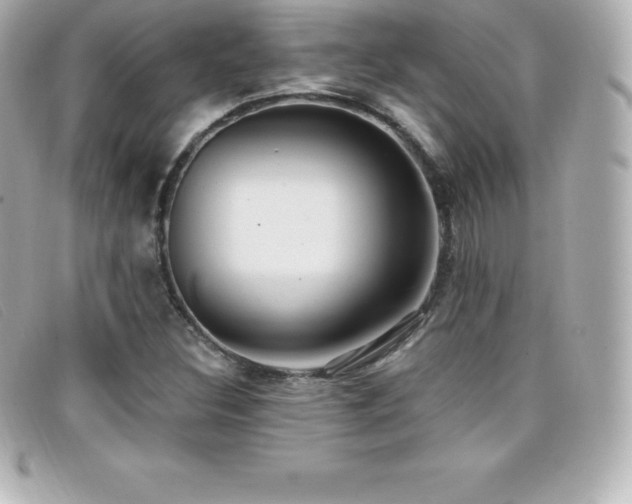 X0000099481308200805091600