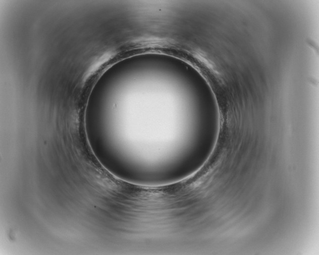 X0000099481309200805091600