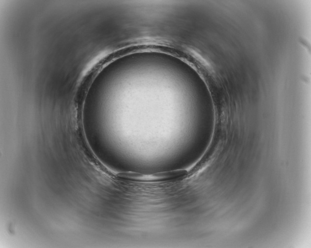 X0000099481310200805091600