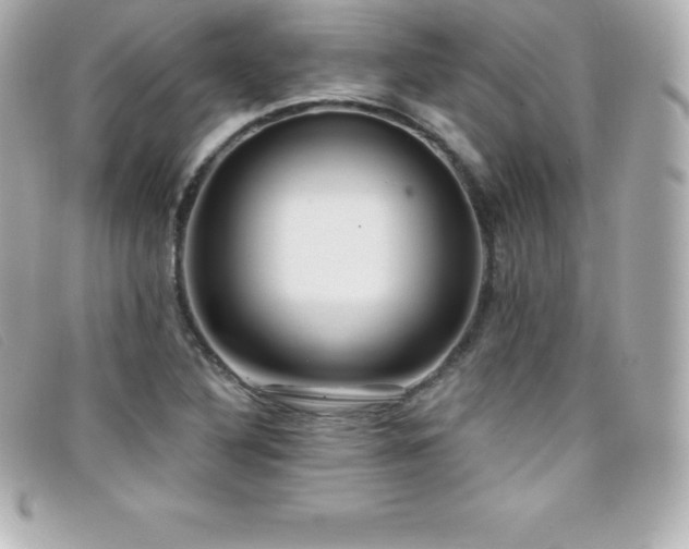 X0000099481316200805091600