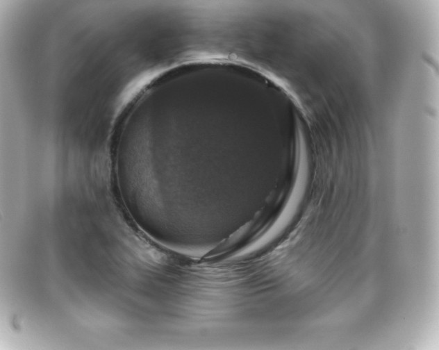 X0000099481319200805091600