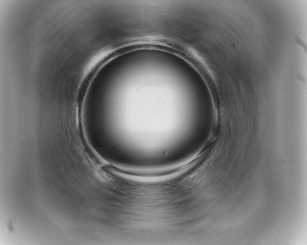X0000099481320200805091600