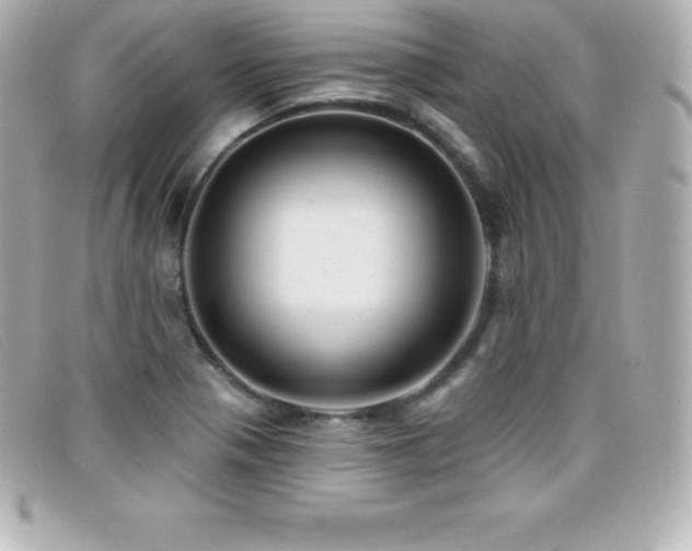 X0000099481321200805091600