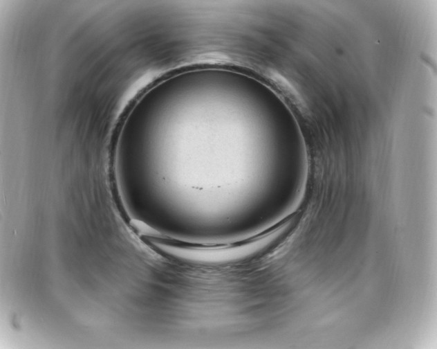 X0000099481326200805091600