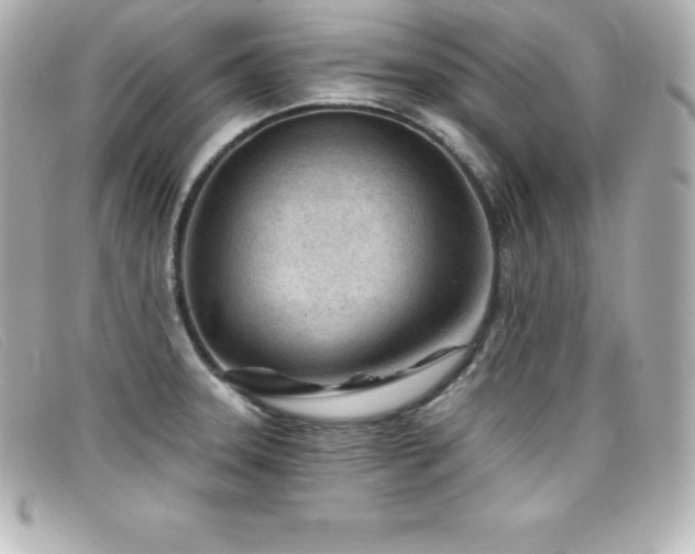 X0000099481331200805091600