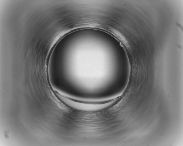 X0000099481332200805091600