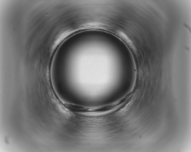 X0000099481336200805091600