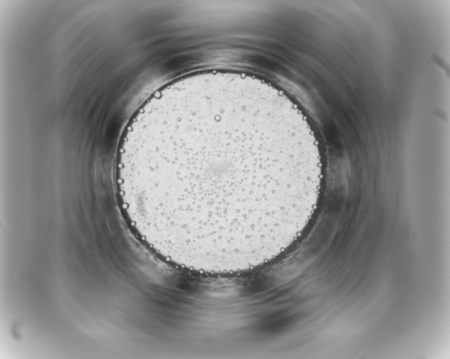 X0000099481338200805091600